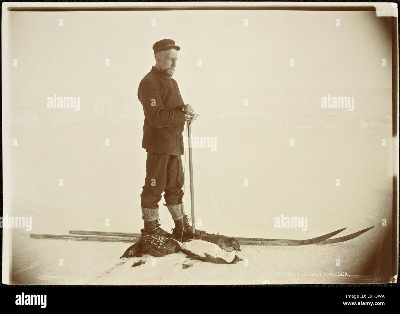 Roald Amundsen ho Antarktis med tre pingviner han har fanget Foto Stock