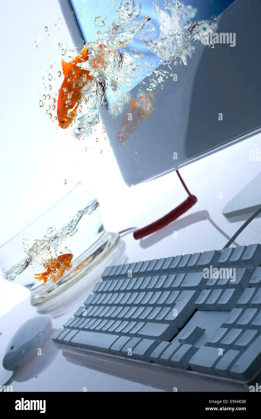 Pesce d'oro salta fuori di una schermata, la composizione Foto Stock