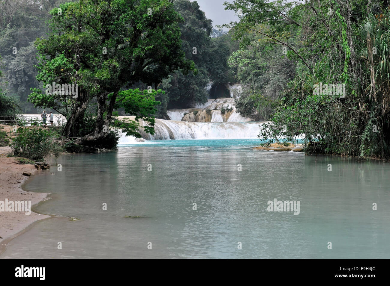 Cataratas de Agua Azul, Blu-acqua cade, Chiapas, Messico Foto Stock