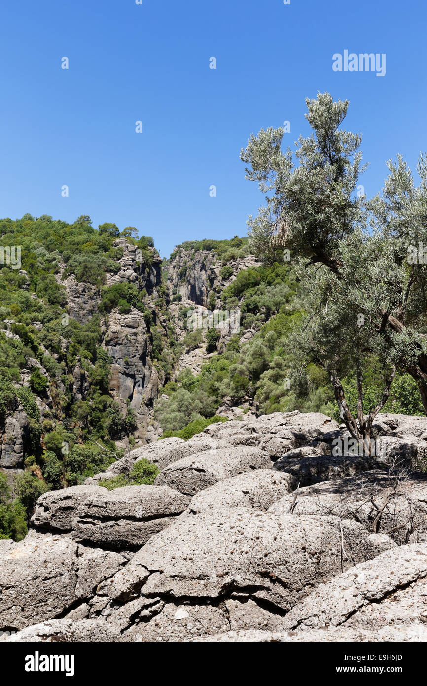 Gorge, sui monti Taurus, Köprülü Canyon National Park, Provincia di Antalya, Turchia Foto Stock