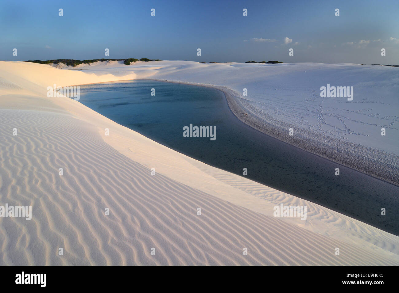 La laguna di acqua dolce, Parque Nacional dos Lençóis Maranhenses o Lençóis Maranhenses National Park, il Maranhão, Brasile Foto Stock