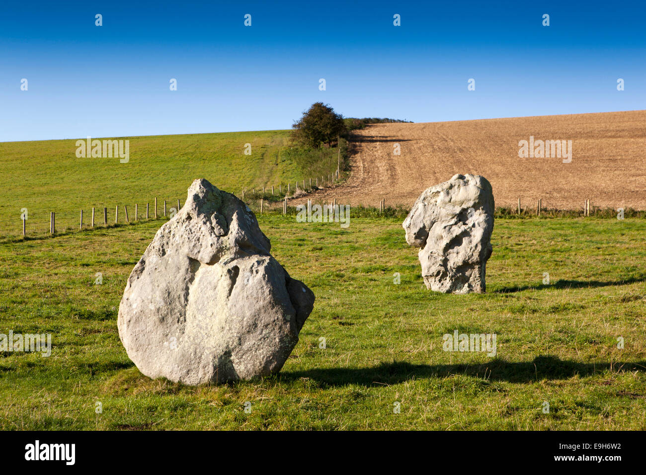 Regno Unito, Inghilterra, Wiltshire, Avebury, due pietre permanente di West Kennet Avenue Foto Stock