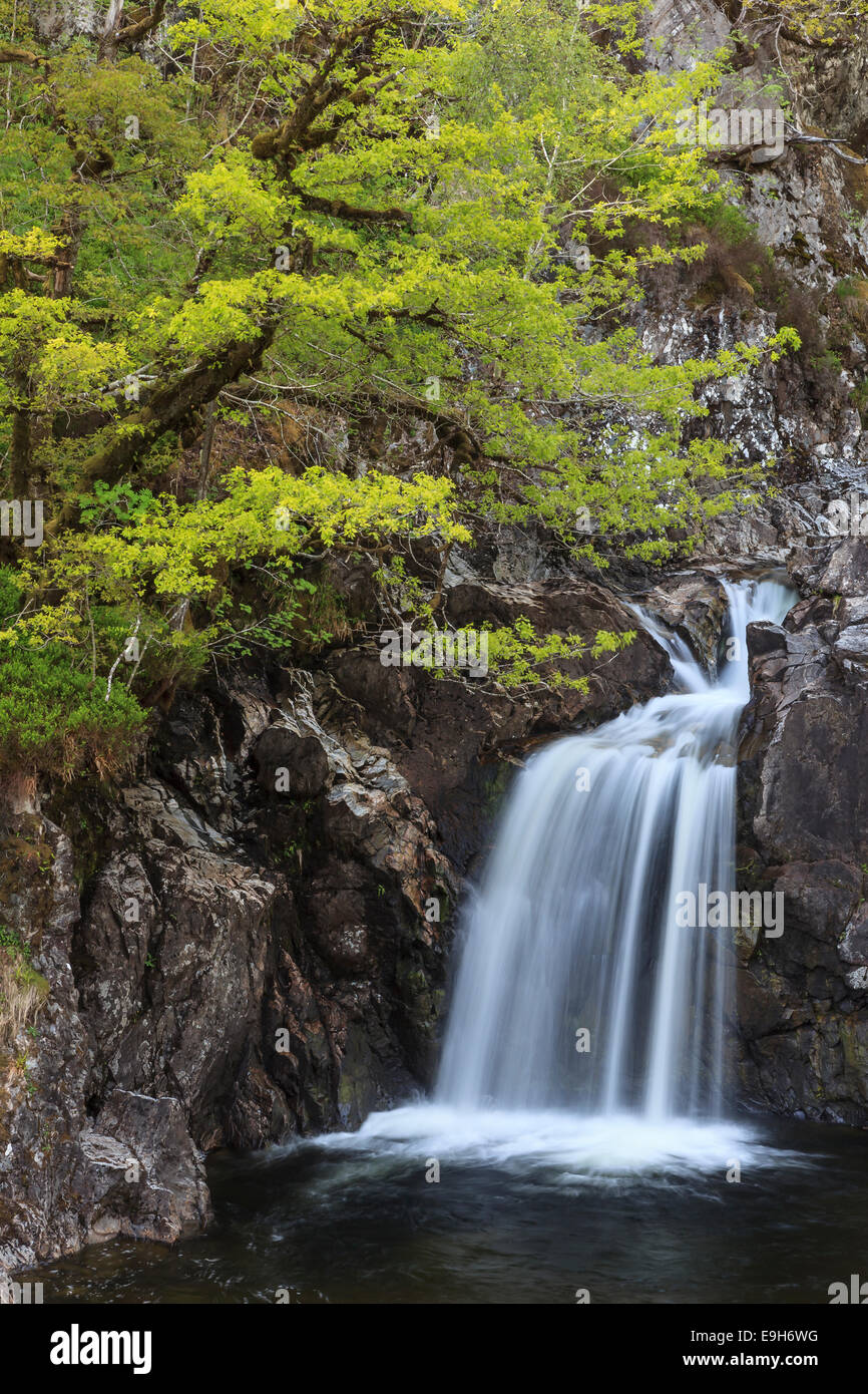 Cascata in una foresta, Drumnadrochit, Scotland, Regno Unito Foto Stock