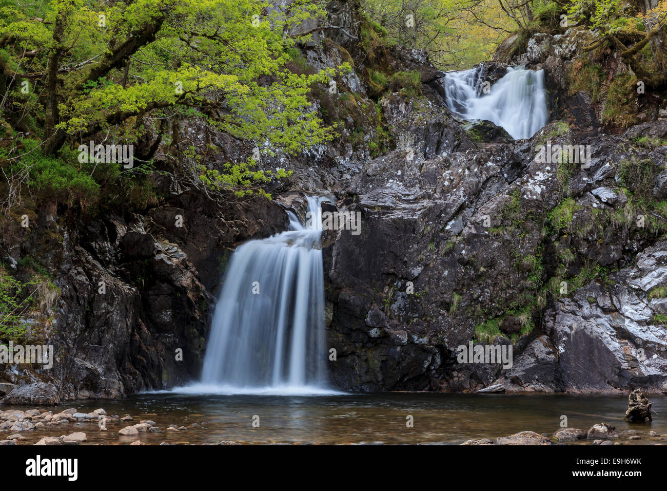 Cascata in una foresta, Drumnadrochit, Scotland, Regno Unito Foto Stock