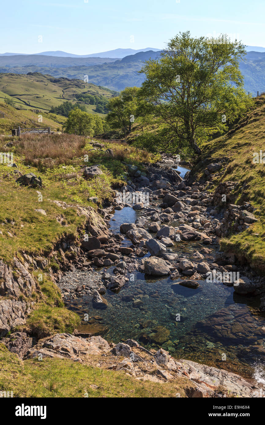 Ruscello di montagna sulla Honister Pass in Borrowdale, Parco Nazionale del Distretto dei Laghi, Cumbria, England, Regno Unito Foto Stock