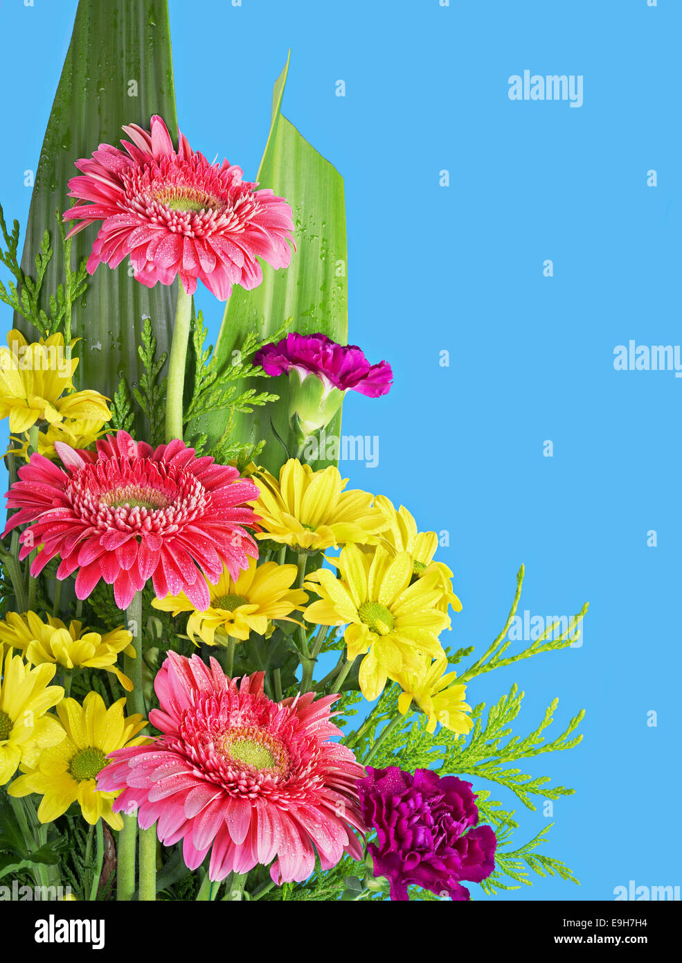 Fiori colorati bouquet isolato su sfondo blu Foto Stock