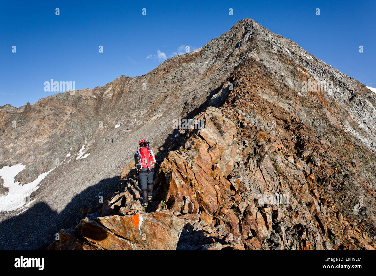 Gli alpinisti durante la fase di ascesa fino alla vetta del Monte Wilder Pfaff, Alto Adige, Trentino Alto Adige, Italia Foto Stock