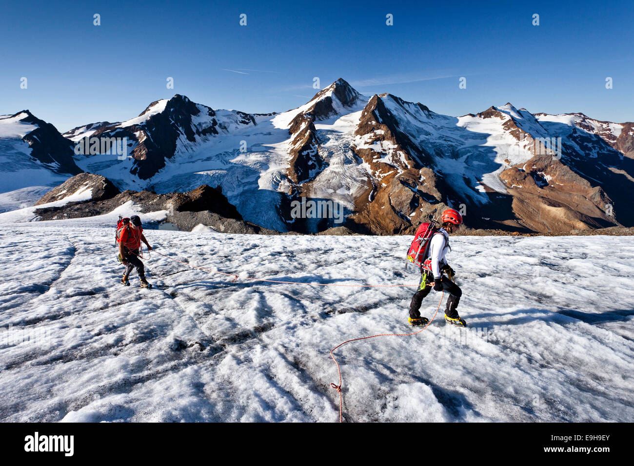 Gli alpinisti sul ghiacciaio Gepatschferner, Mt Weißkugel sul retro, Alto Adige, Trentino Alto Adige, Italia Foto Stock