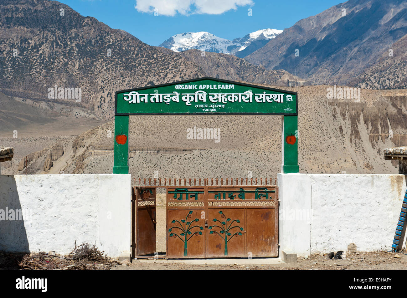 Organici di Meleto, segno sopra l'ingresso, Tangbe, Kali Gandaki Gorge, Mustang superiore, ecco il Nepal Foto Stock