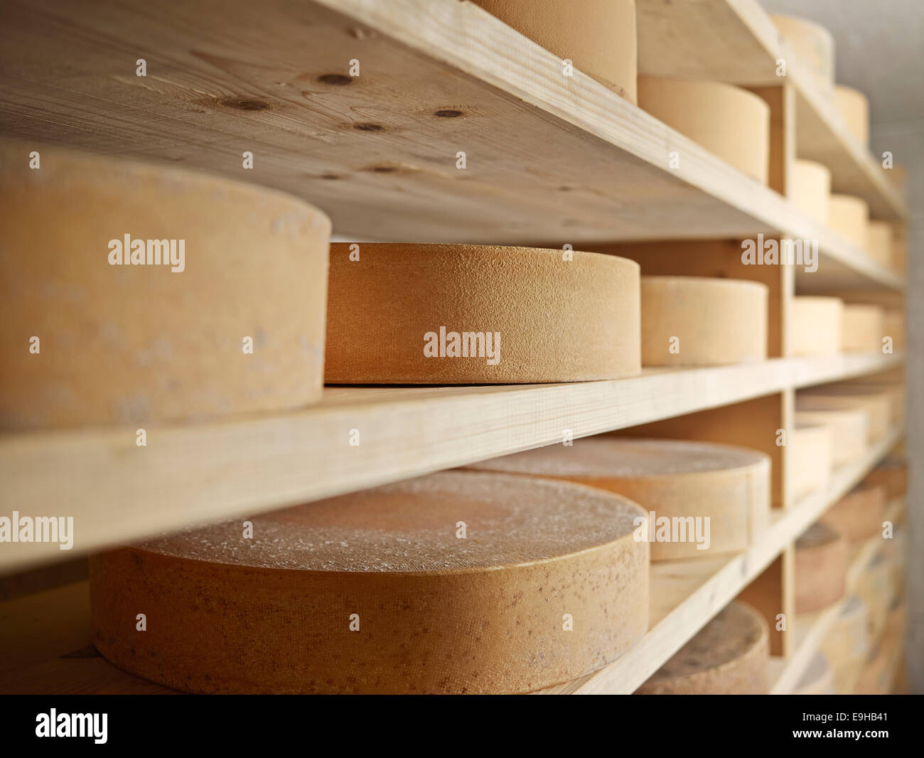 Memorizzazione di formaggio di montagna, Steinbergalm, Inneralpbach, Alpbach, Tirolo, Austria Foto Stock