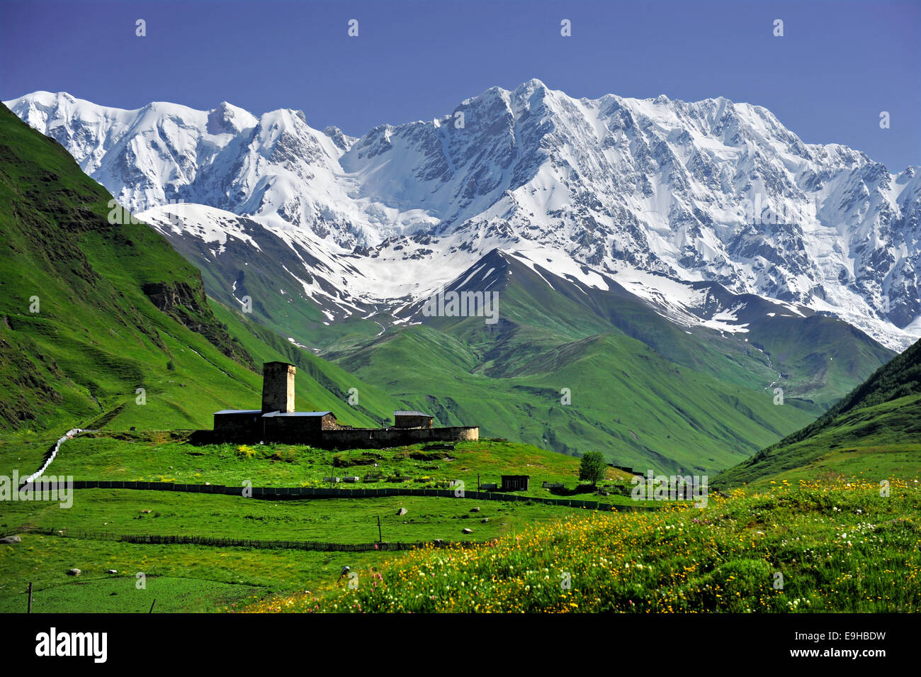 Paesaggio estivo con Caucaso Monte Shkhara visto dal villaggio Ushguli in alto Svaneti regione, Georgia Foto Stock