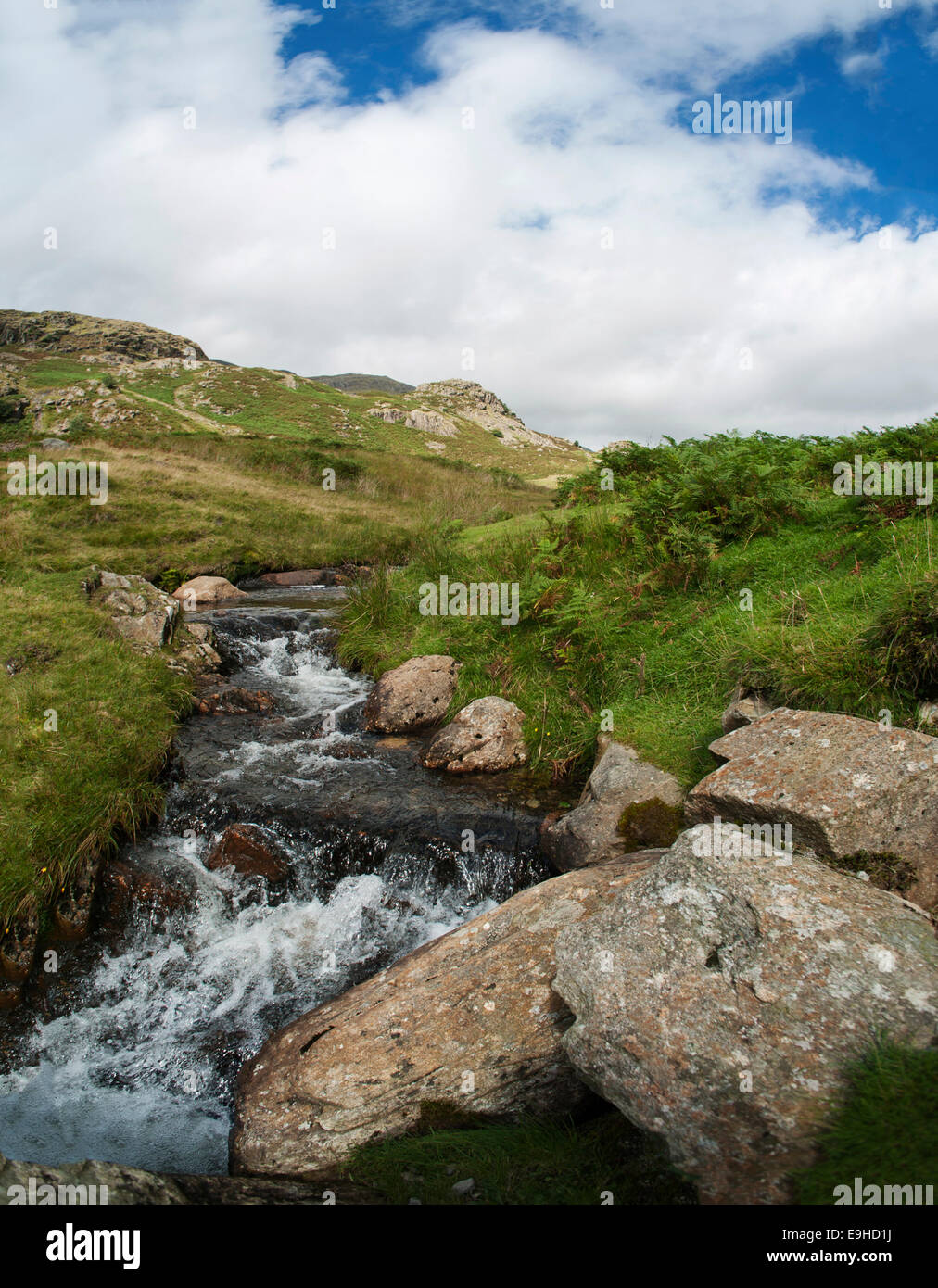 Coniston Beck in alto sul Coniston cadde, Lake District inglese, UK. Foto Stock