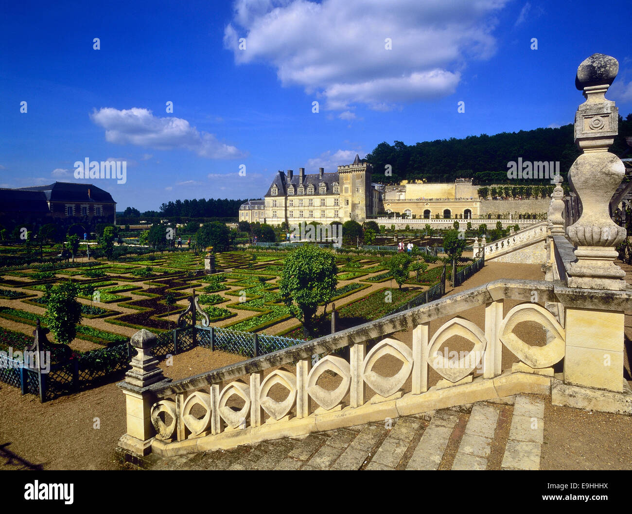 123456 Castello e giardini di Villandry, centro Val de Loire regione. Francia Foto Stock