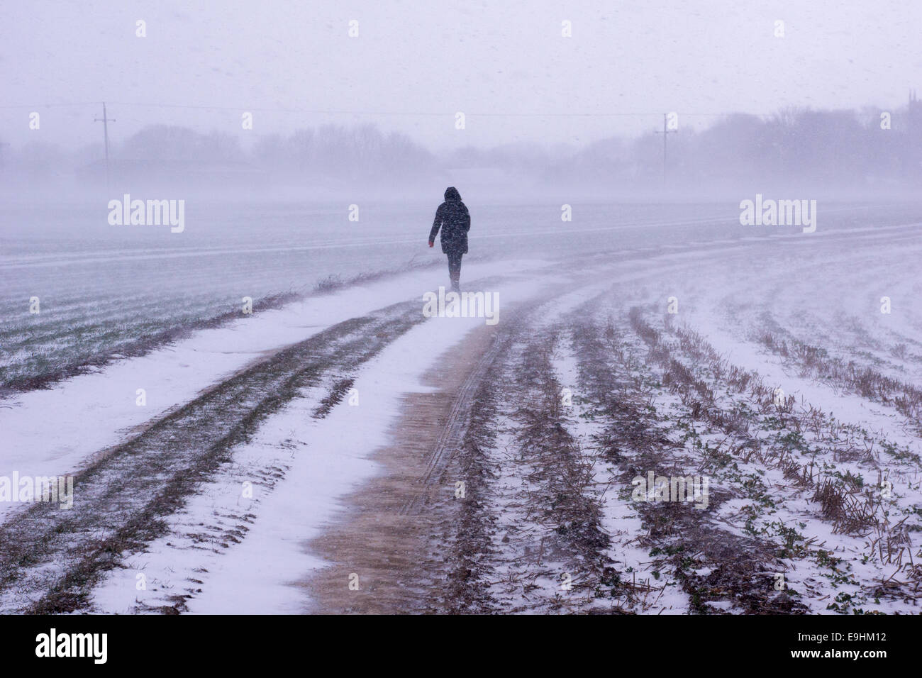 Persona che cammina da sola su un sentiero rurale innevato nella nebbia invernale, creando un senso di solitudine e calma in un paesaggio freddo e spazzato dal vento Foto Stock