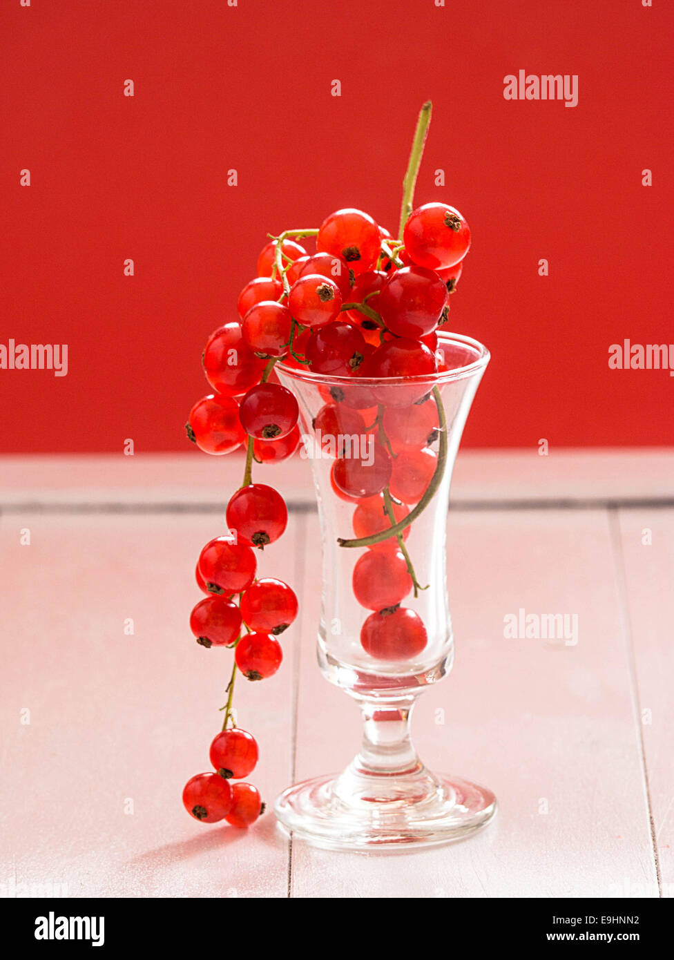 Ribes rosso Foto Stock