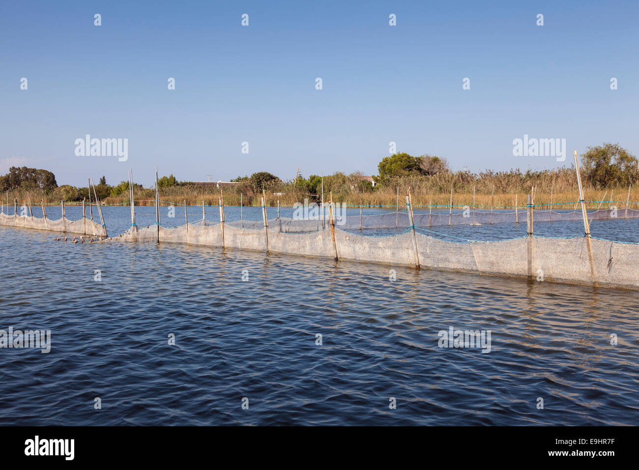 Le reti da pesca nel lago Albufera di Valencia, Spagna. Foto Stock