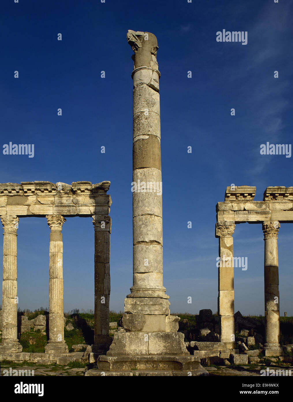 Arte romana. La Siria. Apamea. Medio Oriente. Colonna monumentale e porticato. Foto Stock