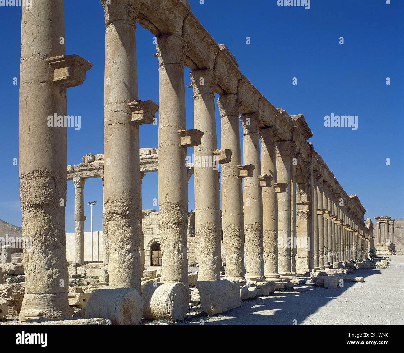 La Siria. Rovine di Palmyra. Medio Oriente. Colonnato. Iii secolo D.C. Oasis Tadmor. Foto Stock