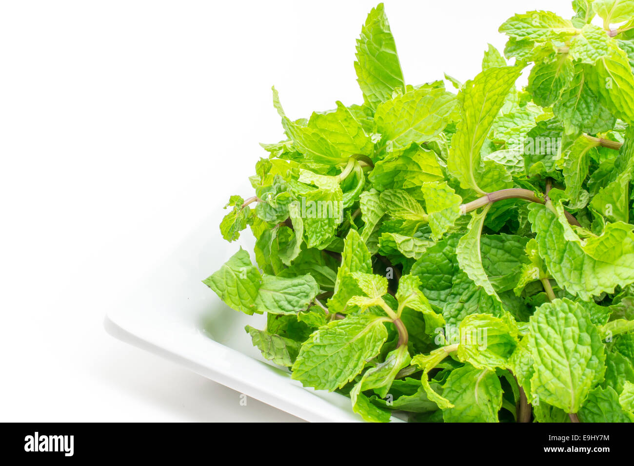 Foglie di menta fresca su sfondo bianco Foto Stock