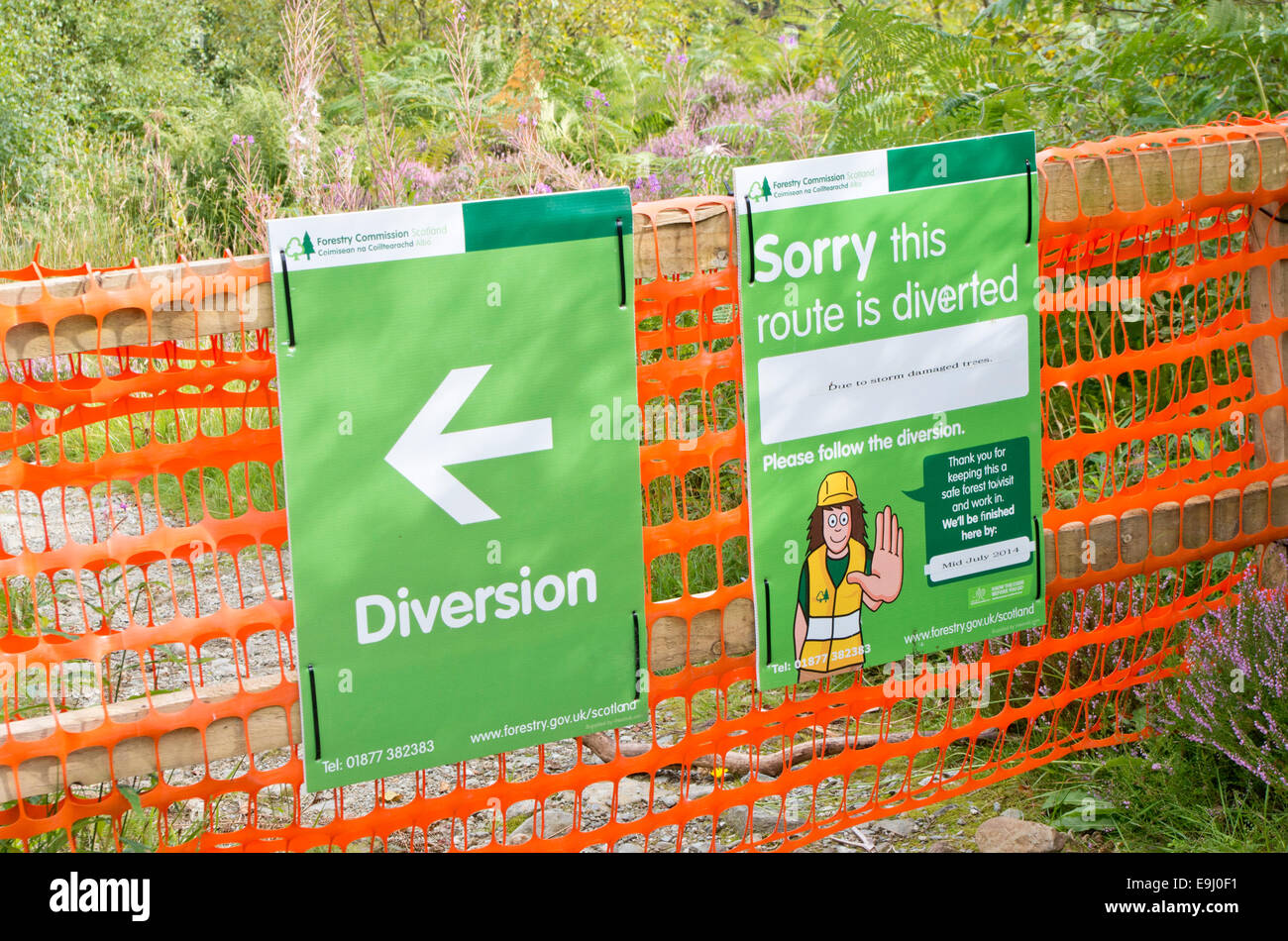 Commissione forestale sentiero chiuso e segno di diversione, REGNO UNITO Foto Stock