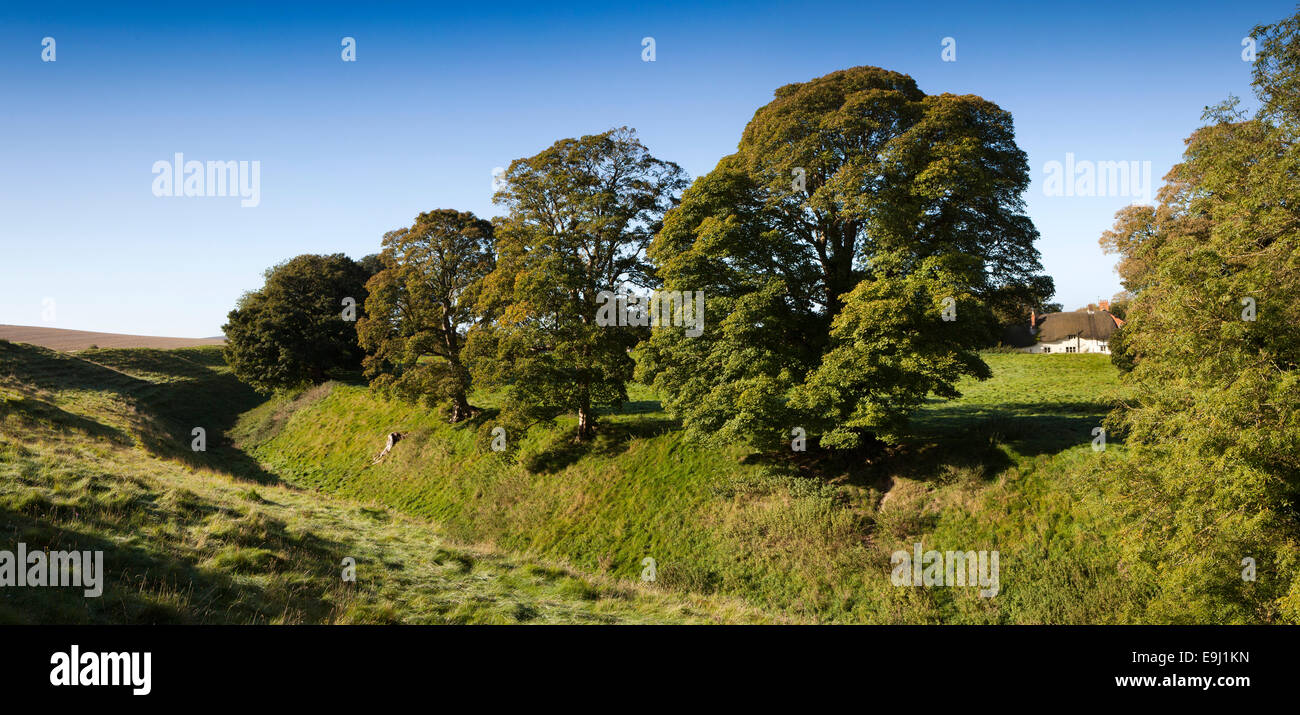 Regno Unito, Inghilterra, Wiltshire, Avebury, cerchio di pietra, alberi che crescono principali di cui sopra il fosso di henge, panoramica Foto Stock