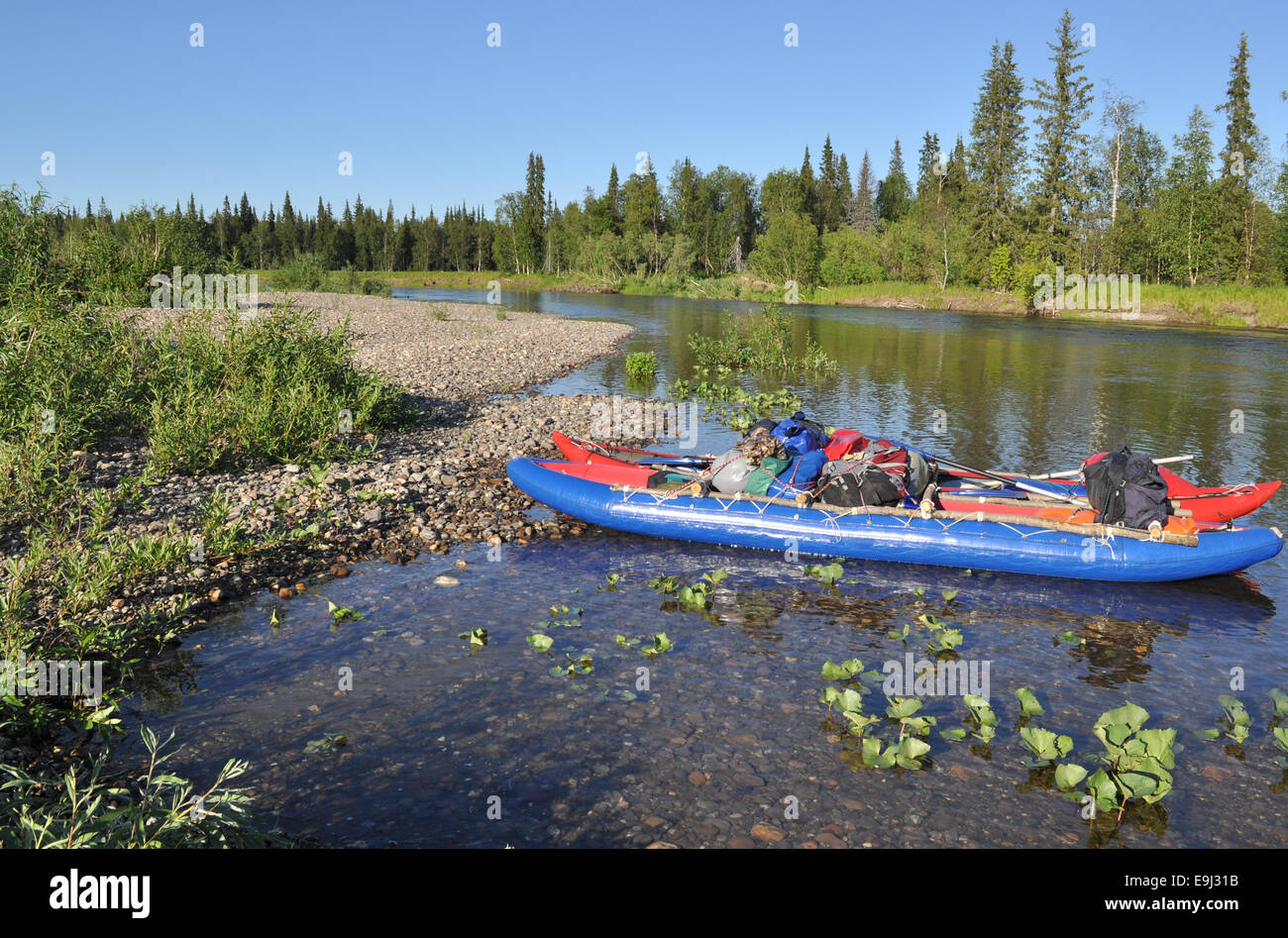 Fiume Ural polare su una soleggiata giornata estiva. Catamarano per il rafting sul fiume taiga. Foto Stock