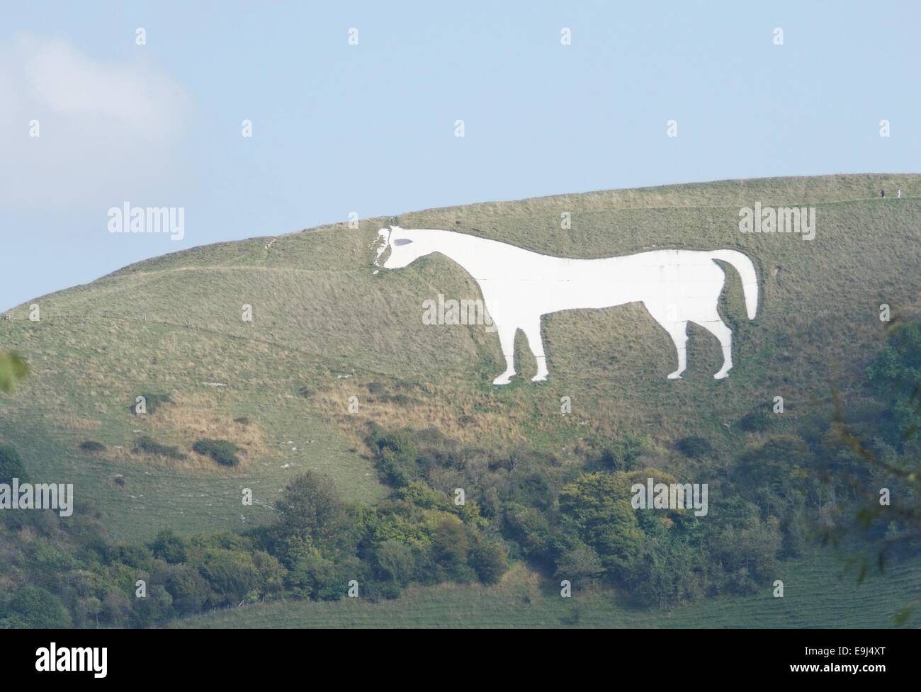 White Horse Hotel Westbury Hill Bratton giù Wiltshire, Inghilterra Foto Stock