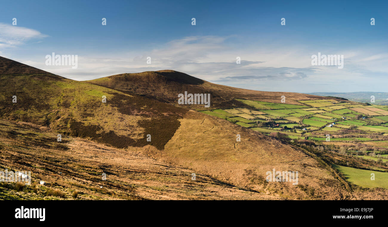 Paesaggio invernale guardando verso Slievebawn, Blackstairs Mountains, nella contea di Carlow, Irlanda Foto Stock