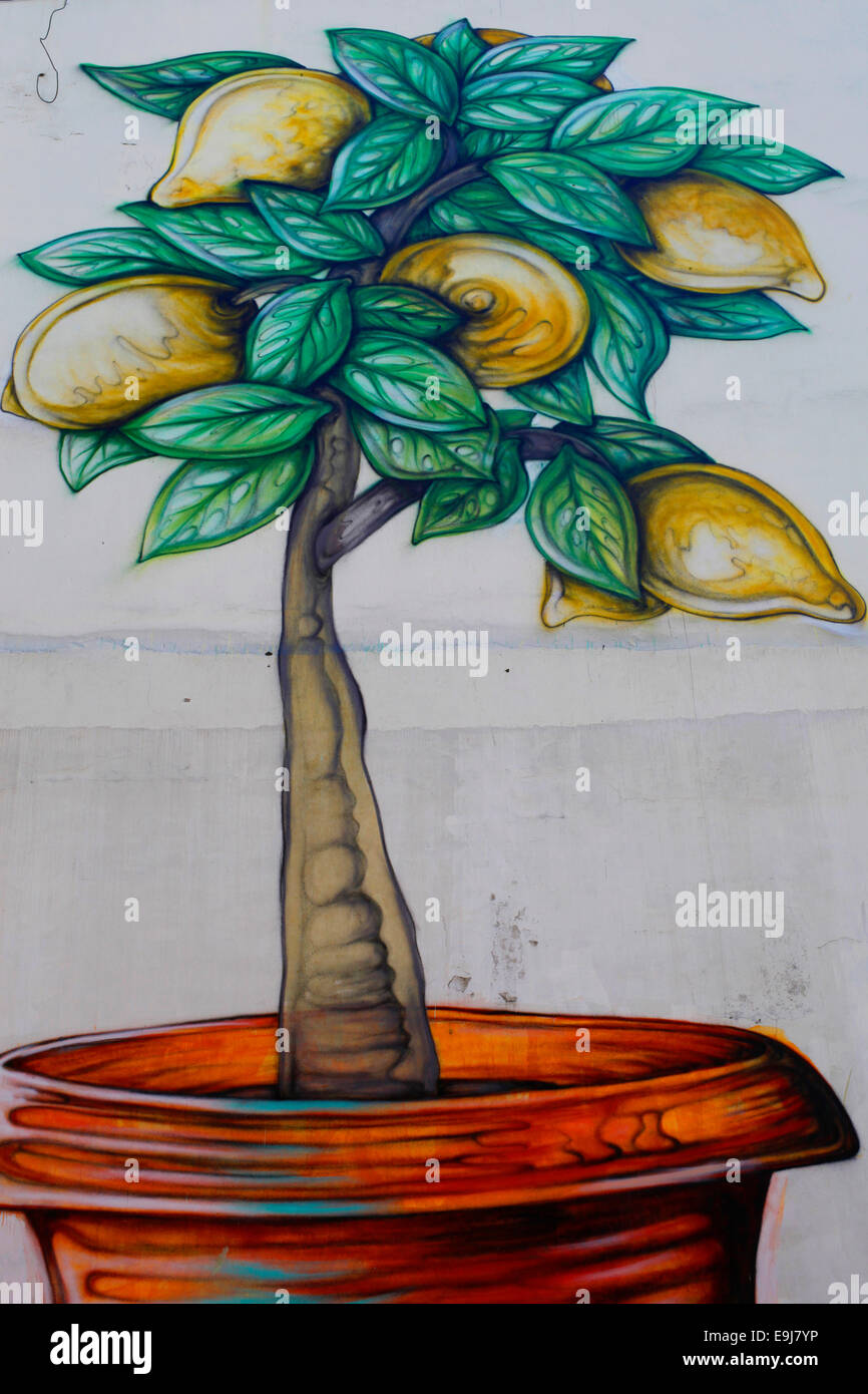 L'arte al muro di un albero di limone. Buenos Aires, Argentina. Foto Stock