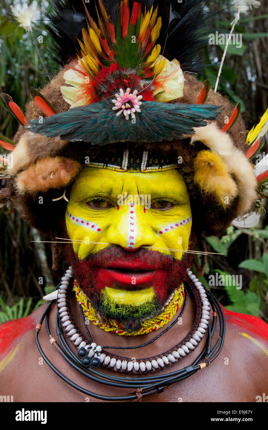 Un Huli Wigmen della Papua Nuova Guinea con il suo copricapo fatto di capelli e piume Foto Stock