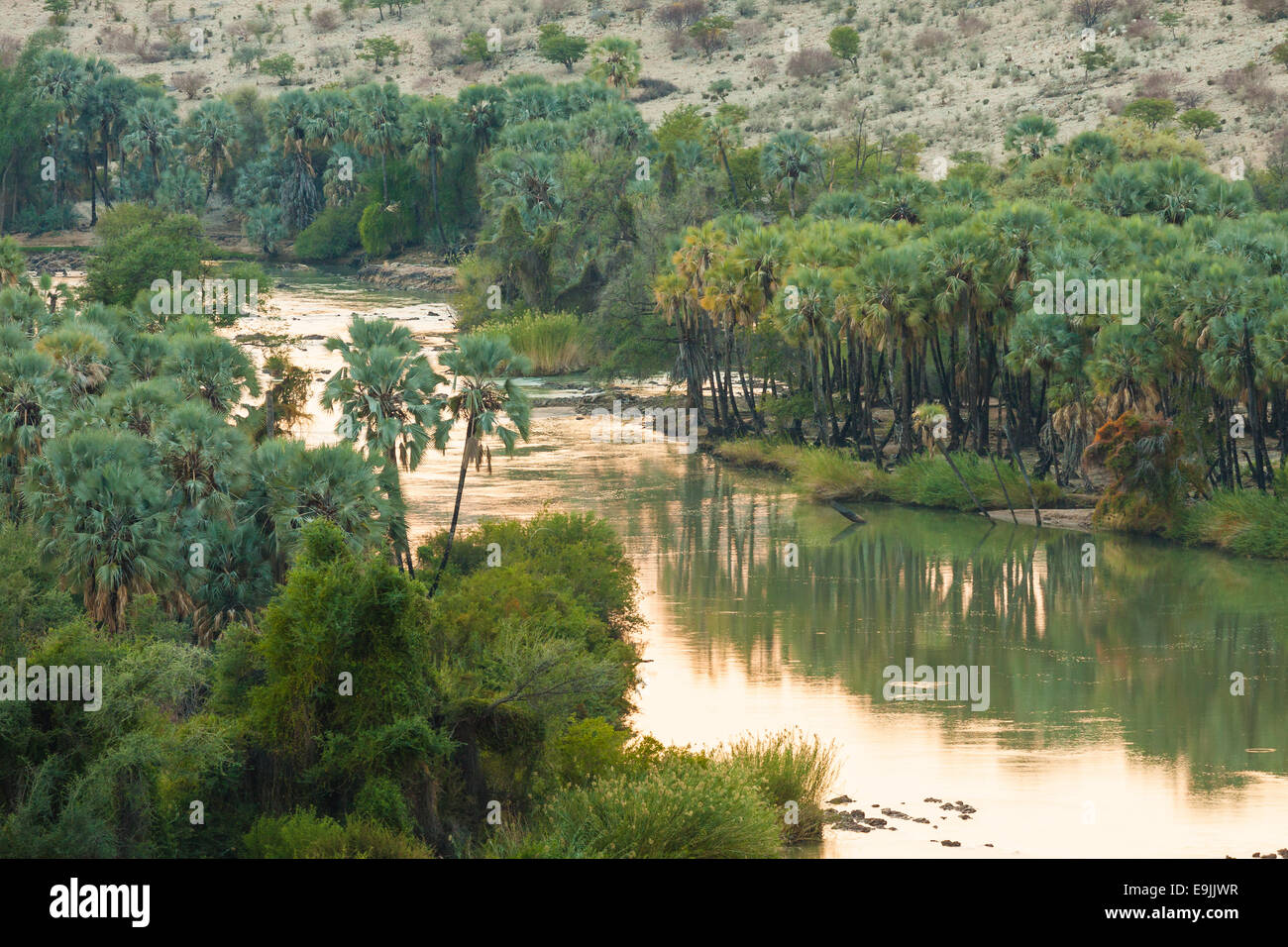 Kunene fiume di confine tra Angola e Namibia,, nella luce del mattino, Regione di Kunene, Namibia Foto Stock