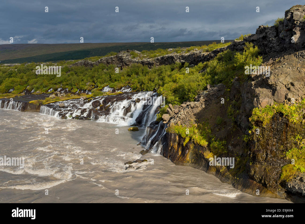 Hraunfossar, cascate del fiume Hvita, vicino Húsafell e Reykholt, Islanda Foto Stock