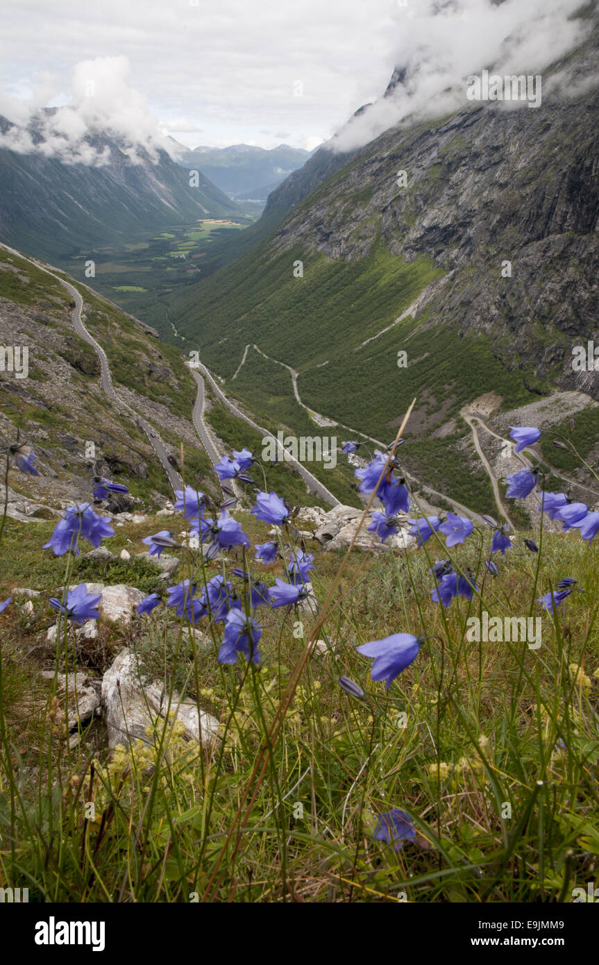 Vista sulla valle Isterdalen e la famosa Trollstigen road, Norvegia Foto Stock