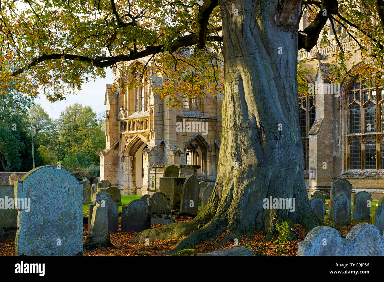 La Chiesa di San Pietro, Walpole St Peter, Norfolk, Inghilterra, Regno Unito Foto Stock