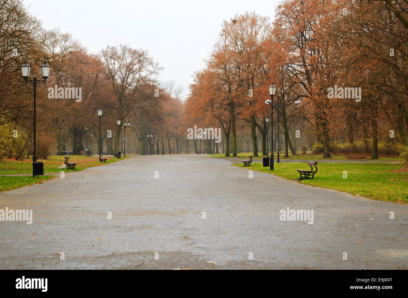 Svuotare il parco della città in una pioggia di giorni di autunno Foto Stock