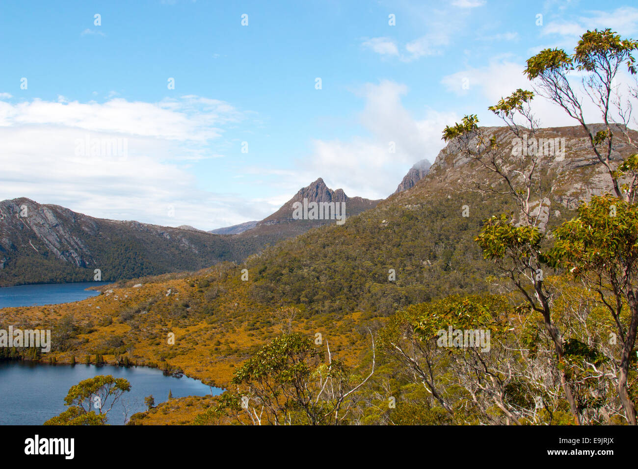 Il lago di lilla in primo piano e il lago di colomba nel cradle mountain lake st clair national wilderness park,Tasmania, Australia Foto Stock