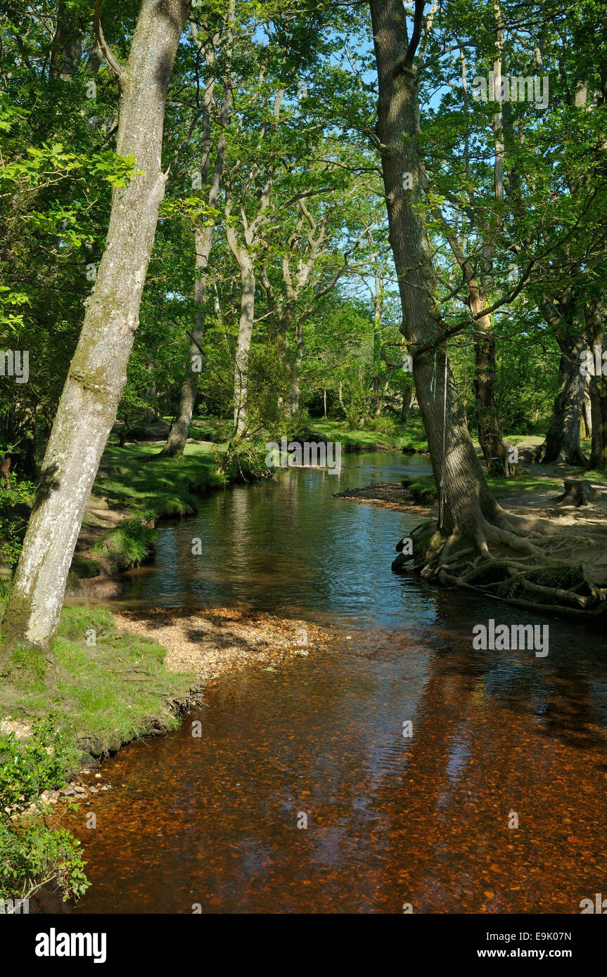 Ober acqua a ponte Ober, Nuova Foresta Foto Stock