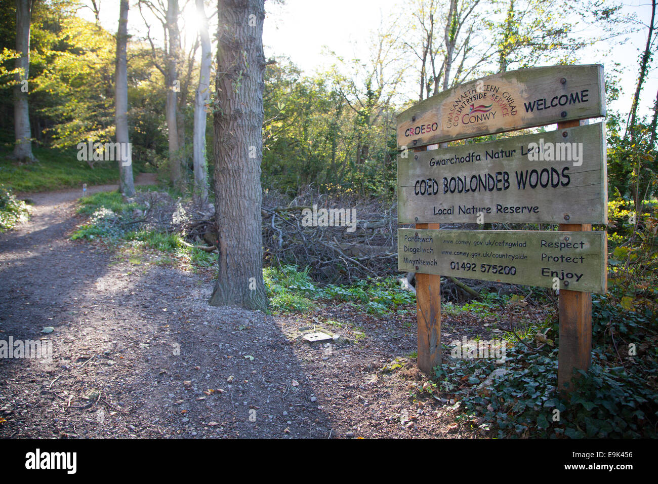 In autunno la luce del sole che splende attraverso gli alberi e il percorso a Coed Bodlondeb boschi, Conwy Foto Stock