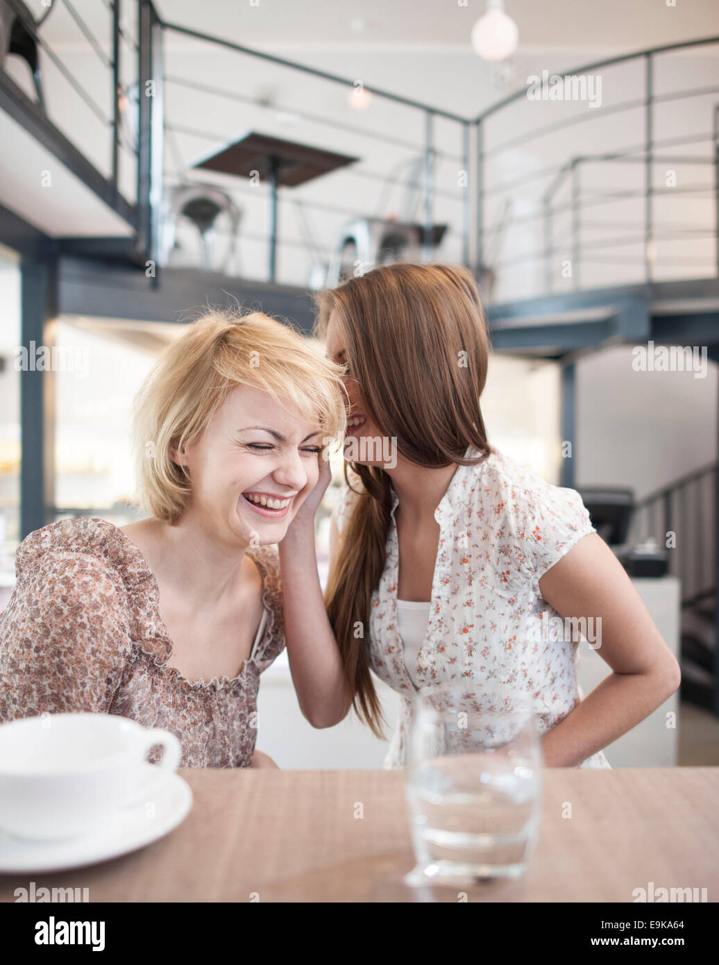 Felice giovane donna whispering in femmine di amico del orecchio in cafe Foto Stock