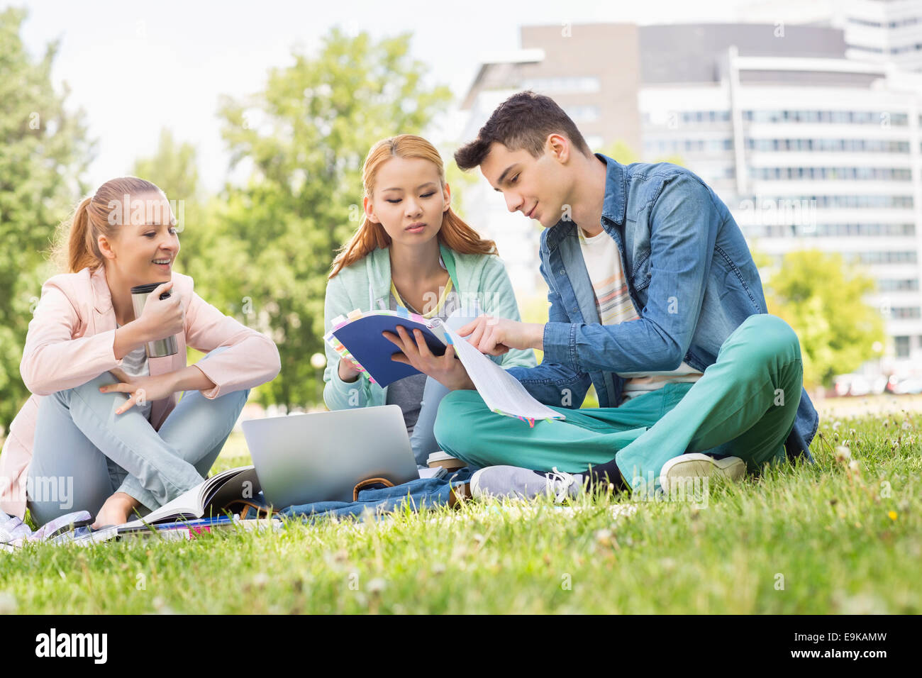 Gli studenti universitari che studiano in campus Foto Stock