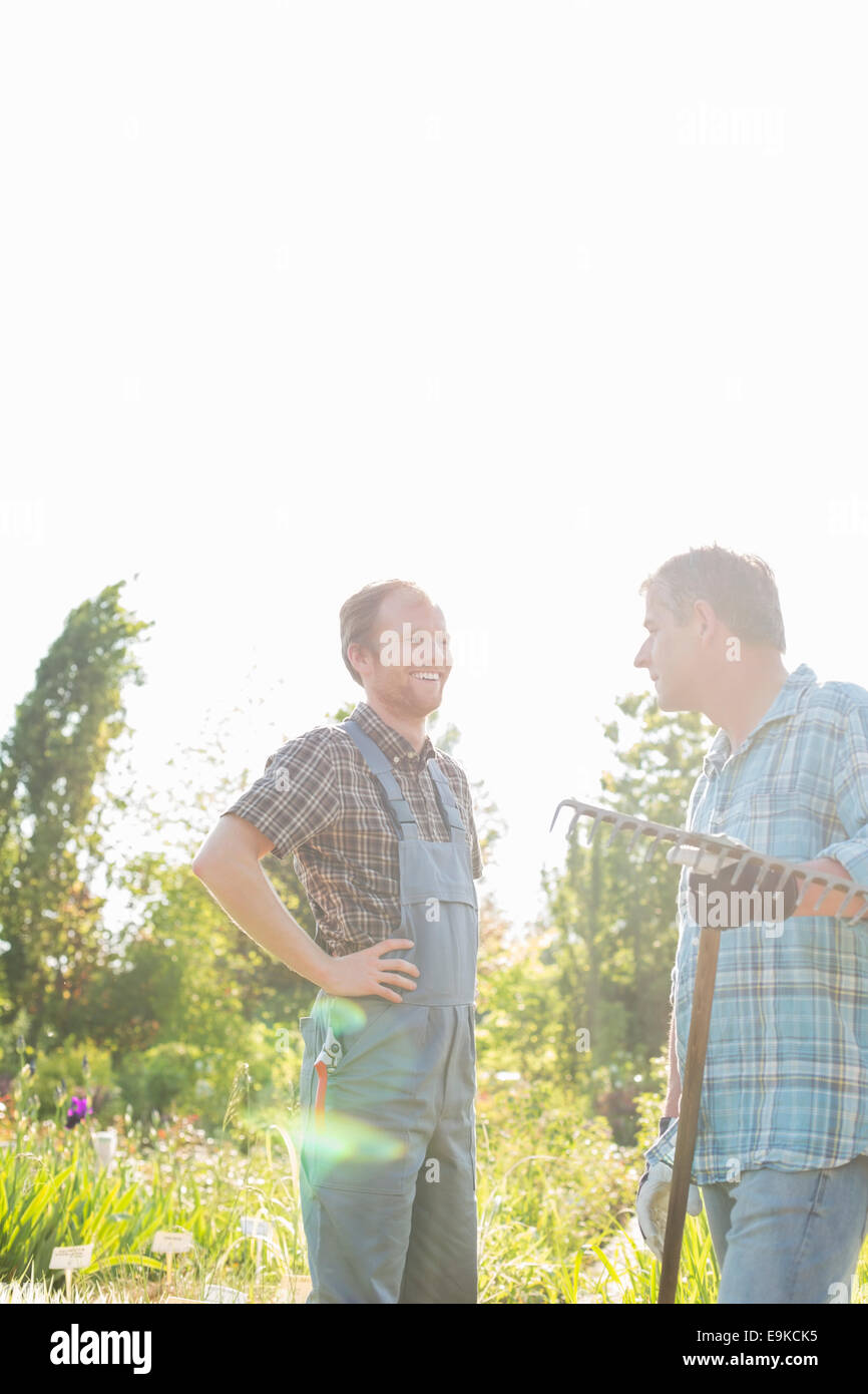 Giardinieri felici conversando al vivaio Foto Stock