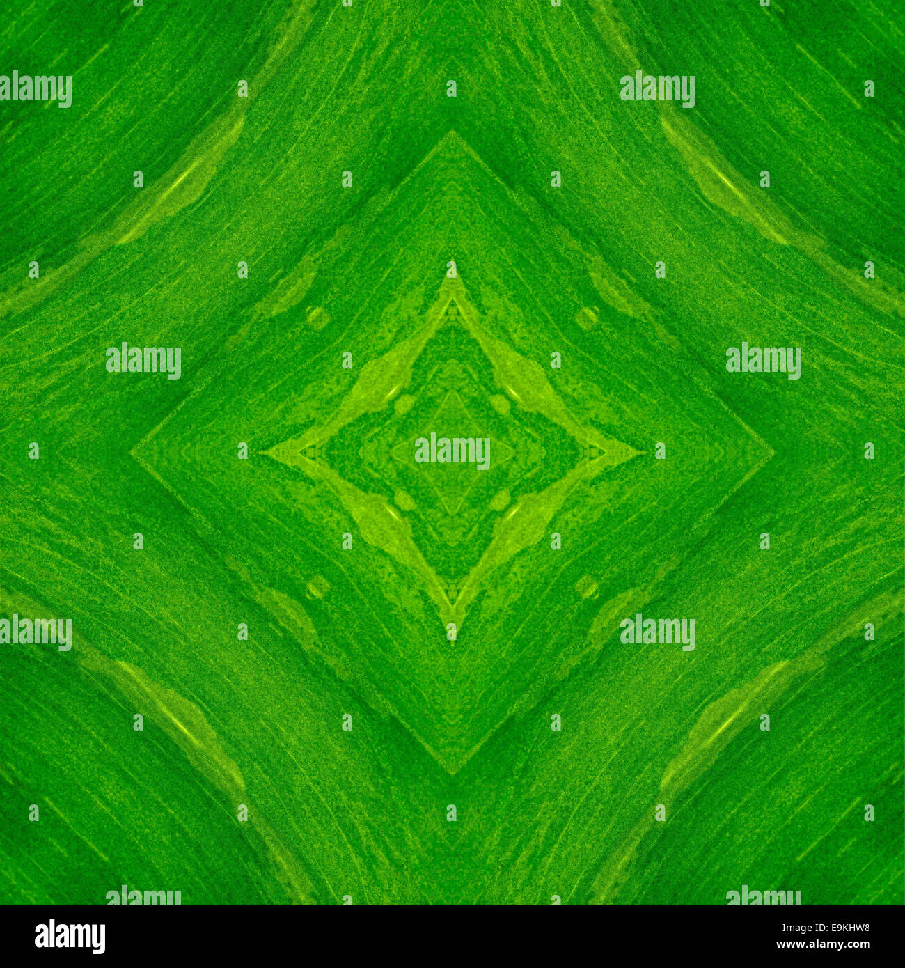 Bella di foglia verde abstract texture di sfondo Foto Stock