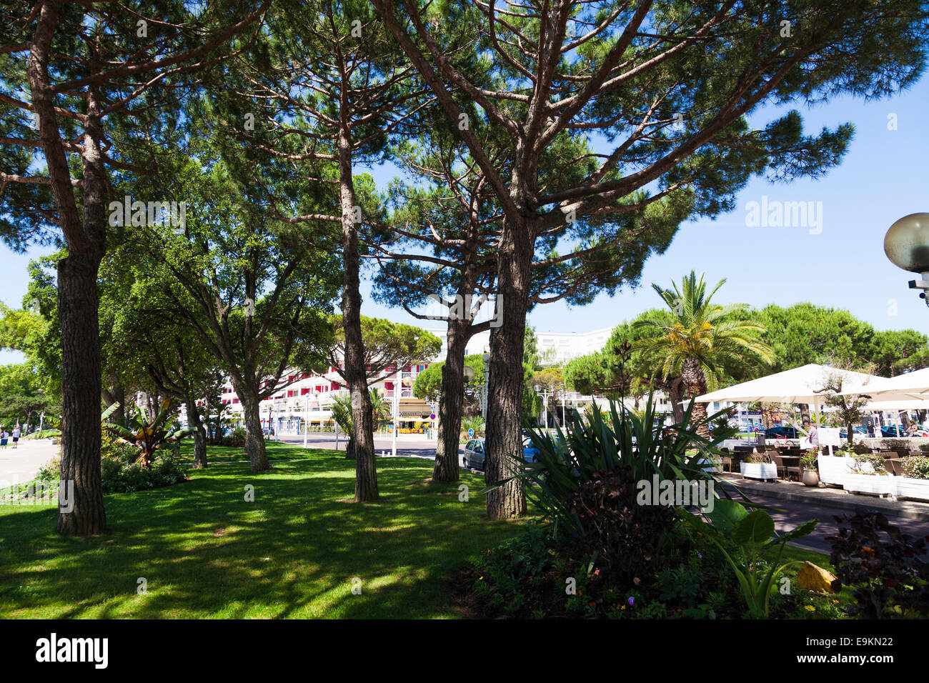 Alberi e arbusti sulla centrale di prenotazione sul lungomare a Royan Francia Foto Stock