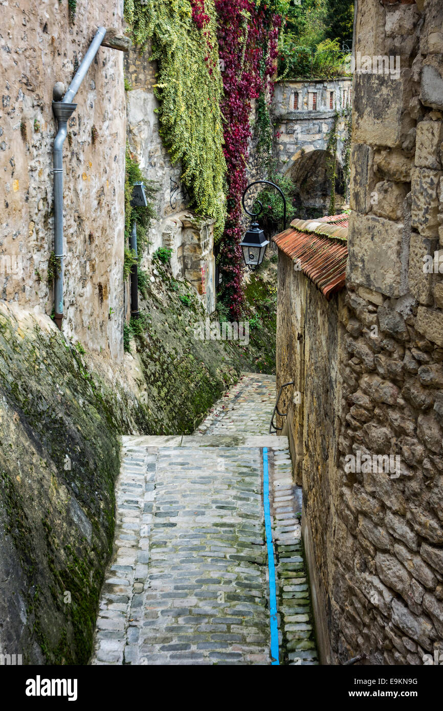 Escursione pedonale con una linea blu per i turisti in esecuzione attraverso il viale medievale nella città di Nevers, Borgogna, Francia Foto Stock