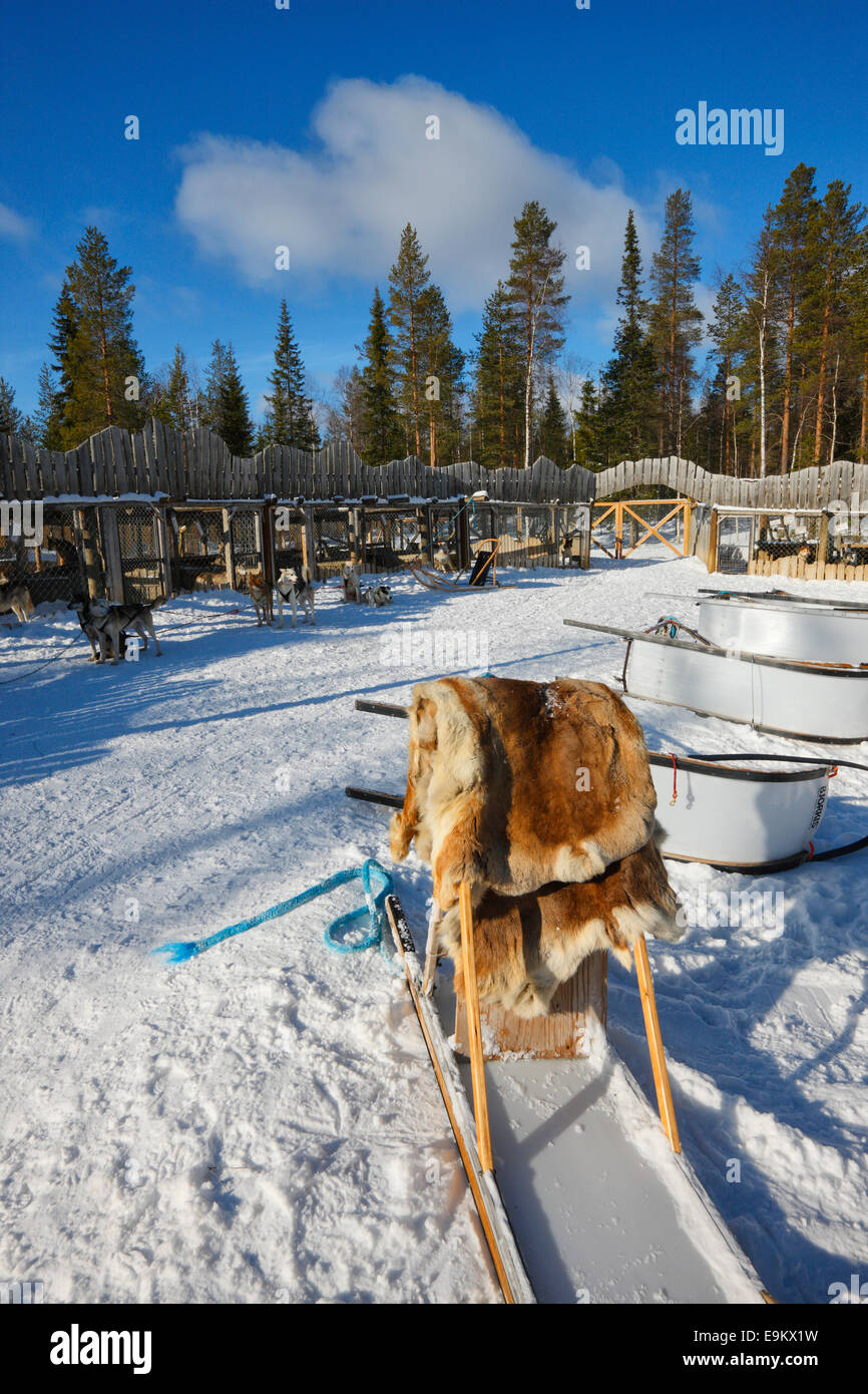 Huski farm - Kopara, Lapponia Finlandia Foto Stock