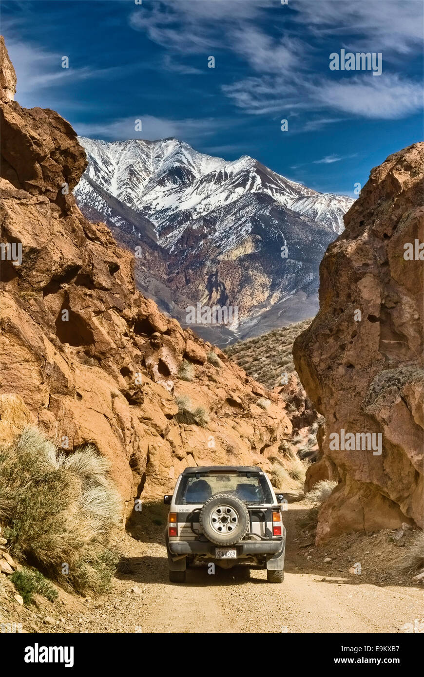 Veicolo 4x4 su strada nel Red Rock Canyon, White Mountains in lontananza, Mojave Desert vicino a Bishop, California, USA Foto Stock