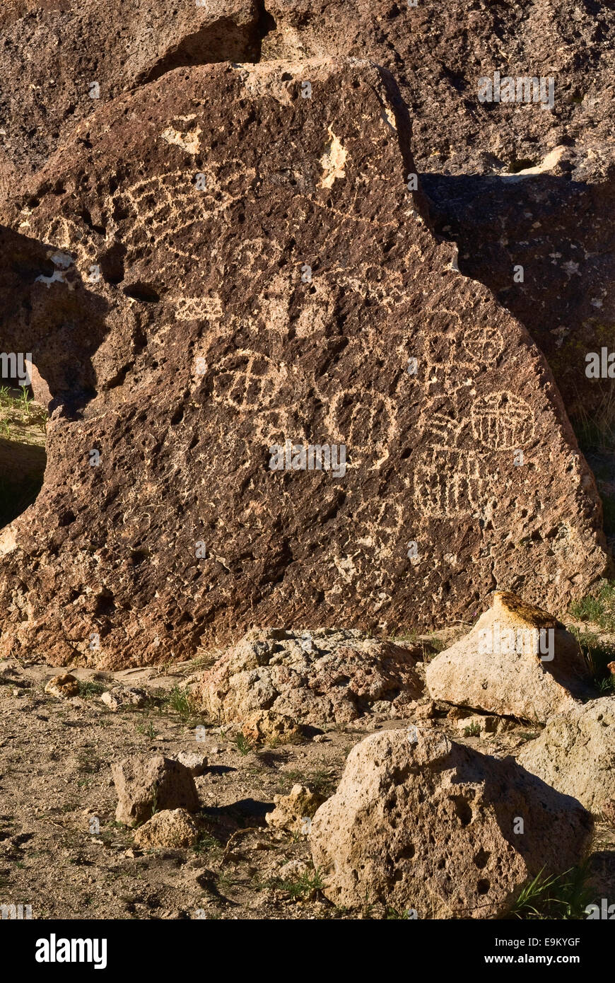 Chidago Canyon petroglifi pesce a Slough strada in Chalfant Valley, Deserto Mojave, vicino al Vescovo, CALIFORNIA, STATI UNITI D'AMERICA Foto Stock