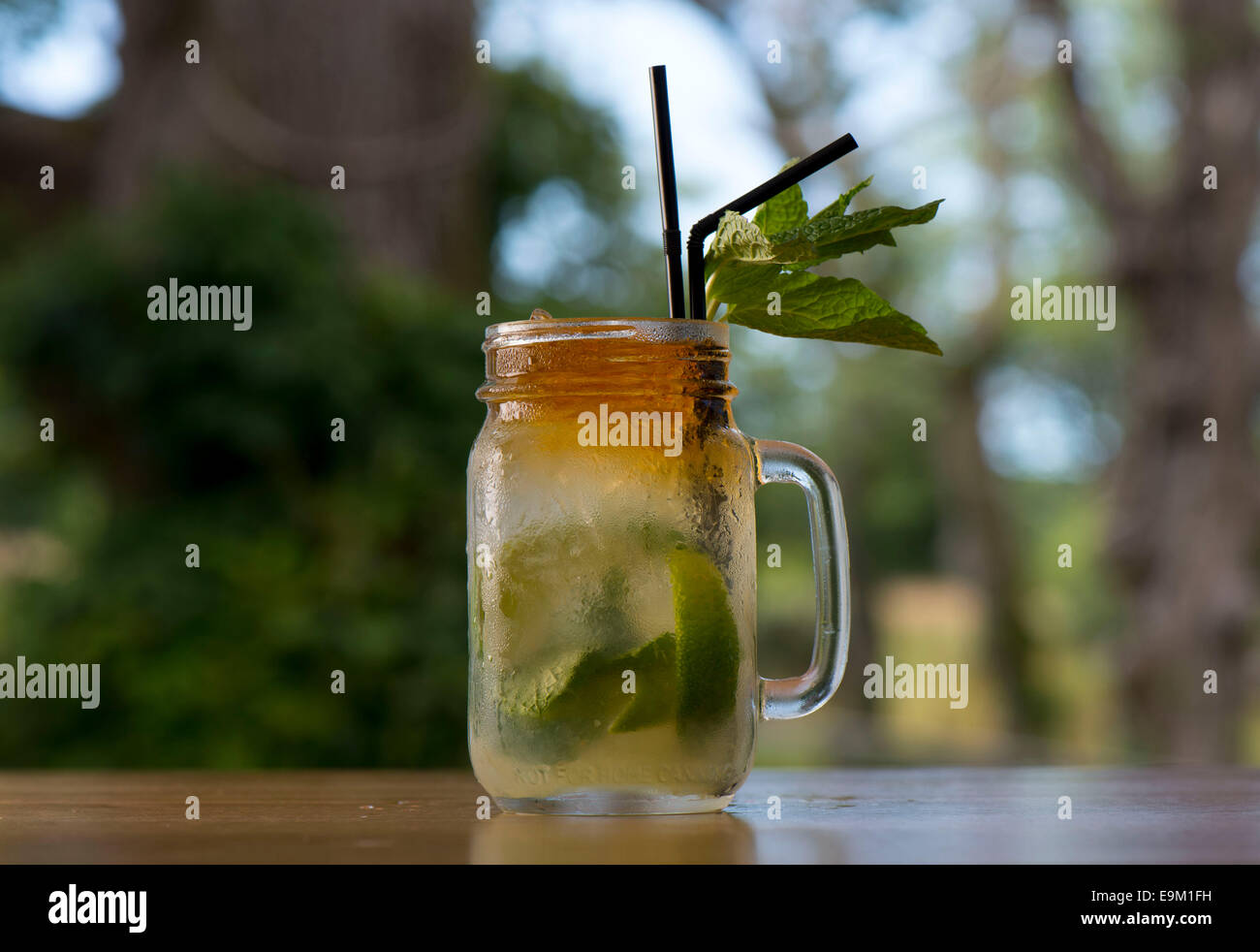 Un mojito rum cocktail con uno sfondo verde. Foto Stock