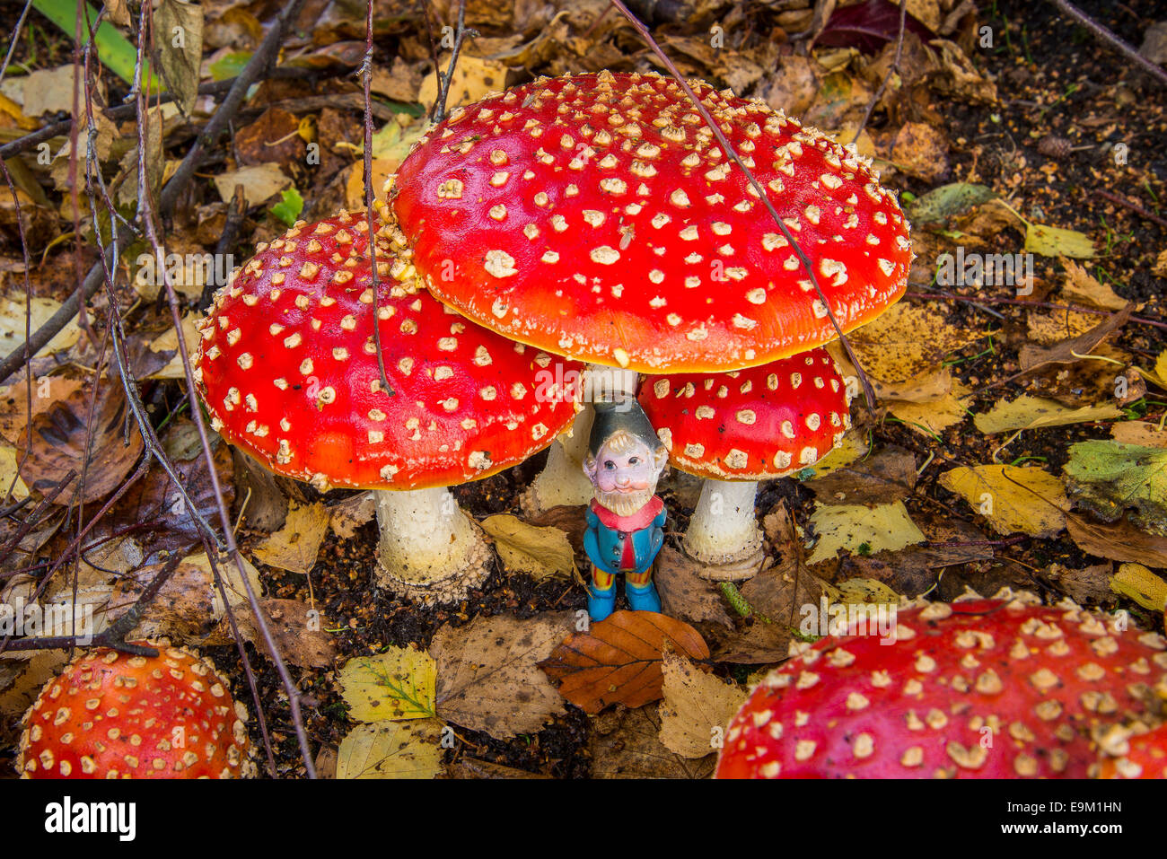 Piccola statuetta di gnome e amanita muscaria funghi. Foto Stock