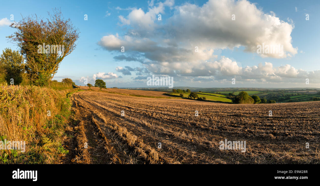 Vista autunnale attraverso i campi in campagna in Cornovaglia Foto Stock